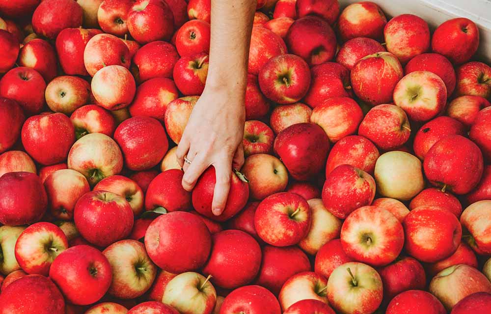 Apples