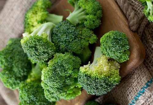 Broccoli 3
