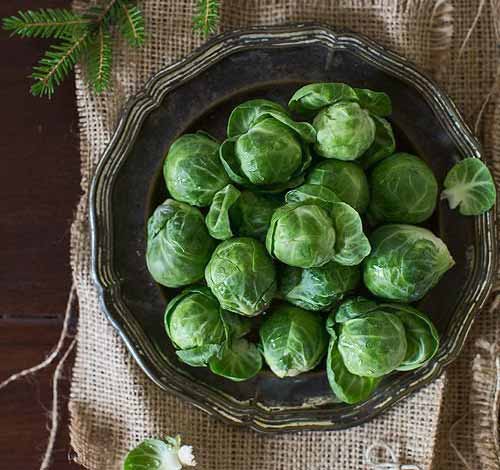 Brussels Sprouts 1