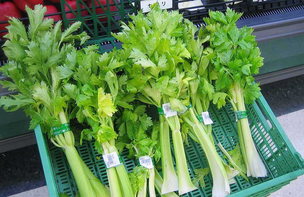 Celery