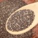 Chia Seeds for Weight Loss: What the Science Actually Says (2025)