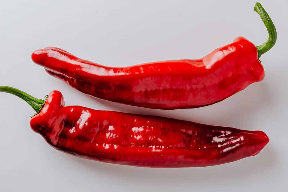 Chili Peppers 1