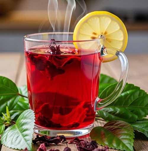 Cold Infused Hibiscus Tea 1