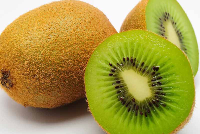 Kiwi Fruit