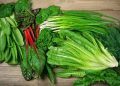 The 10 Best Foods for Weight Loss