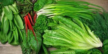 The 10 Best Foods for Weight Loss