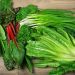 The 10 Best Foods for Weight Loss