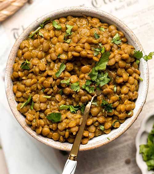 Lentils 1