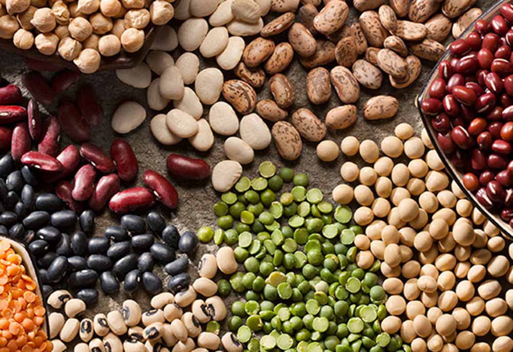 Lentils and Beans