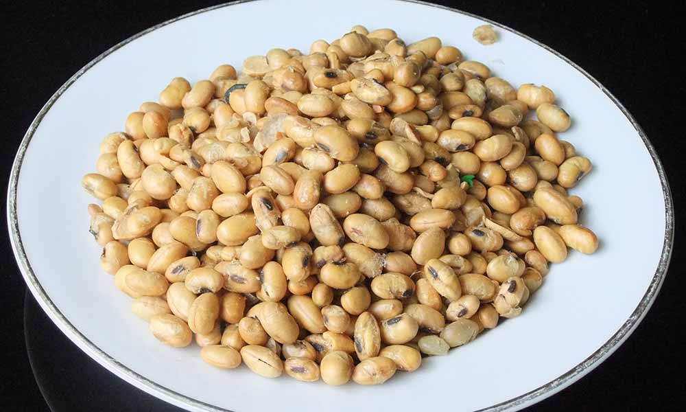 Soy