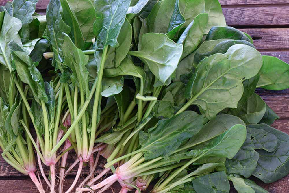 Spinach