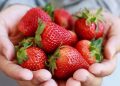10 Best Foods for White Teeth (Backed by Dental Research)