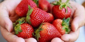 10 Best Foods for White Teeth (Backed by Dental Research)