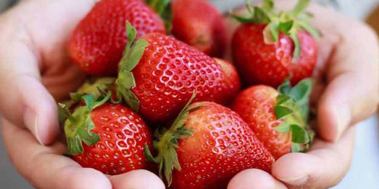 10 Best Foods for White Teeth (Backed by Dental Research)