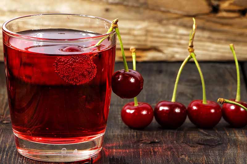 Tart Cherry Juice