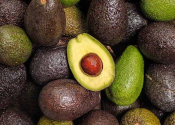 12 Best Belly Slimming Foods to Eat Every Day in 2026