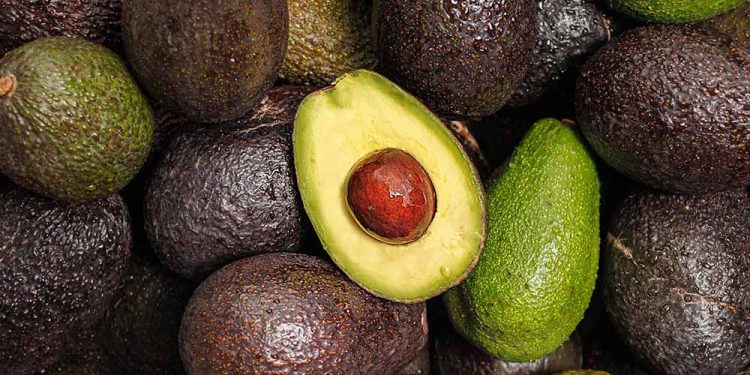 12 Best Belly Slimming Foods to Eat Every Day in 2026