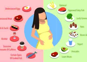 The Complete Pregnant Diet: A Trimester-by-Trimester Guide for Baby’s Brain, Your Energy, and Postpartum Recovery