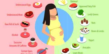 The Complete Pregnant Diet: A Trimester-by-Trimester Guide for Baby’s Brain, Your Energy, and Postpartum Recovery