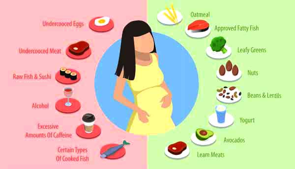The Complete Pregnant Diet: A Trimester-by-Trimester Guide for Baby’s Brain, Your Energy, and Postpartum Recovery